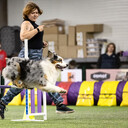 ���������� ������, ���� ������� ����, 21 ���, ������������ ��� ����� � ���������, c�������� ���������