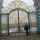   ,   , 43 ,   