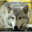 ���������� �����������-��-�����, ���� ������� �����, 39 ���, ������������ ��� ������, ����� � ���������, c�������� ���������