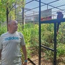 ���������� ������, ���� ������� ����, 46 ���, ������������ ��� ������, ����� � ���������