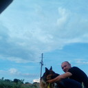  -,   , 38 ,   ,   , c 