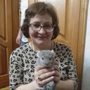  ,   , 61 ,   ,   , c 