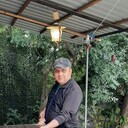 ���������� ����, ���� ������� ����, 42 ����, ������������ ��� ������, ����� � ���������