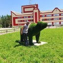  ,   , 40 ,   ,   