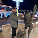  ,   Art, 43 ,   ,   
