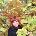 ���������� �����, ���� ������� �����, 55 ���, ������������ ��� ������, ����� � ���������, c�������� ���������