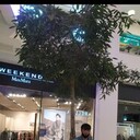  ,   , 31 ,   ,   , c 