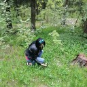 ���������� ������, ���� ������� ������, 31 ���, ������������ ��� c�������� ���������