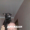  ,   , 71 ,   ,   , c 