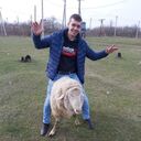 ���������� ������, ���� ������� ����, 38 ���, ������������ ��� ������, ����� � ���������