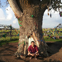  -,   Aldin, 40 ,   ,   , c 