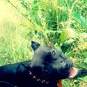 ���������� ���������� �����, ���� ������� ����, 31 ���, ������������ ��� ������, ����� � ���������, c�������� ���������, ���������