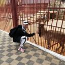 ���������� ������, ���� ������� �����, 44 ����, ������������ ��� ������, ����� � ���������