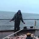 ���������� ���������, ���� ������� �������, 47 ���, ������������ ��� ������, ����� � ���������, c�������� ���������