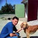 ���������� ������, ���� ������� ���111, 50 ���, ������������ ��� ������, ����� � ���������, c�������� ���������, ���������