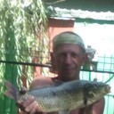  ,   , 59 ,   ,   