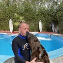 ���������� ������, ���� ������� �����������, 36 ���, ������������ ��� ������, ����� � ���������, c�������� ���������