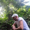 ���������� �����������, ���� ������� ����, 38 ���, ������������ ��� ������, ����� � ���������, c�������� ���������, ���������