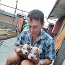 ���������� ����������, ���� ������� ���������, 40 ���, ������������ ��� c�������� ���������, ���������