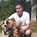 ���������� �����-���������, ���� ������� �����, 45 ���, ������������ ��� ������, ����� � ���������