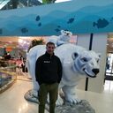 ���������� ������, ���� ������� ����, 41 ���, ������������ ��� ������