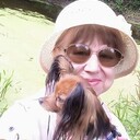 ���������� ���������, ���� ������� ���, 69 ���, ������������ ��� c�������� ���������