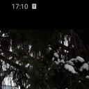 ���������� ��������, ���� ������� ������, 46 ���, ������������ ��� c�������� ���������