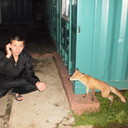 ���������� �����������, ���� ������� �������, 38 ���, ������������ ��� ������, ����� � ���������, c�������� ���������