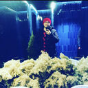 ���������� ������, ���� ������� Xurshid, 40 ���, ������������ ��� ������, ����� � ���������