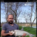 ���������� ������, ���� ������� �����, 48 ���, ������������ ��� ������, ���������