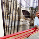 ���������� �����, ���� ������� �����, 38 ���, ������������ ��� ������, ����� � ���������, c�������� ���������