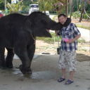 ���������� ����, ���� ������� ���������, 67 ���, ������������ ��� ������, ����� � ���������, c�������� ���������