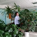 ���������� �������, ���� ������� ����, 50 ���, ������������ ��� ������, ����� � ���������