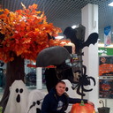 ���������� ��������, ���� ������� �����, 39 ���, ������������ ��� ����� � ���������, c�������� ���������