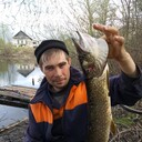 ���������� ������, ���� ������� �����, 48 ���, ������������ ��� ������