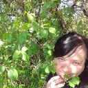 ���������� �����������, ���� ������� �����, 40 ���, ������������ ��� c�������� ���������, ���������