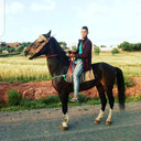 ���������� ������, ���� ������� Rachid, 30 ���, ������������ ��� ������, ����� � ���������, c�������� ���������