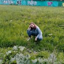 ���������� ������, ���� ������� �������, 43 ����, ������������ ��� ������, ���������