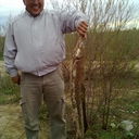  ,   Zhorik, 49 ,   