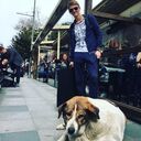 ���������� ����, ���� ����� �����, 23 ����, ������������ ��� ������, ����� � ���������, c�������� ���������