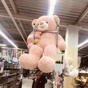 ���������� �����������, ���� ������� �������, 36 ���, ������������ ��� ������, ����� � ���������