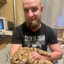 ���������� ������, ���� ������� �������, 33 ����, ������������ ��� ������, ����� � ���������, c�������� ���������