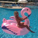 ���������� ������, ���� ������� �����, 39 ���, ������������ ��� ������, ����� � ���������