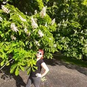  ,   , 47 ,   ,   , c , 