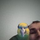 ���������� �����-���������, ���� ������� �������, 31 ���, ������������ ��� ������, ����� � ���������