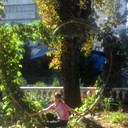 ���������� ����������, ���� ������� ��������, 39 ���, ������������ 