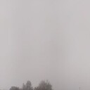 ���������� �����������, ���� ������� �������, 44 ����, ������������ 