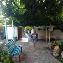  ,   , 55 ,  