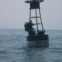 ���������� �����������, ���� ������� ����, 44 ����, ������������ ��� ������, ����� � ���������, c�������� ���������