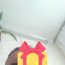 ���������� ���������, ���� ������� Oier, 52 ����, ������������ ��� ������, ����� � ���������